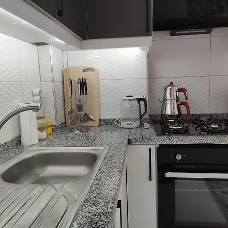 Denizolgun Homes Tenim 3 * 달라만